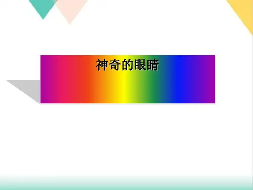 4.6神奇的眼睛-教科版八年级物理上册PPT演示课件