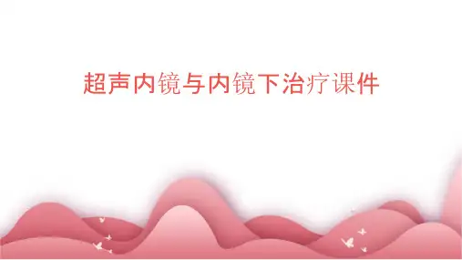 超声内镜与内镜下治疗课件