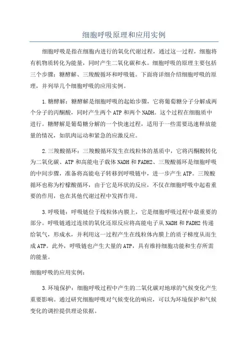 细胞呼吸原理和应用实例