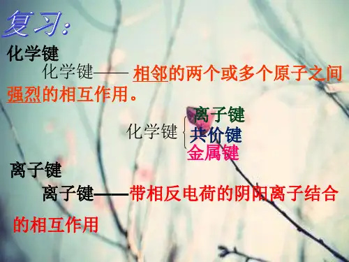化学键与共价键