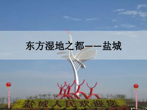 区域规划——盐城
