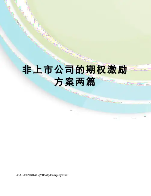 非上市公司的期权激励方案两篇