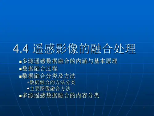 图像融合ppt课件