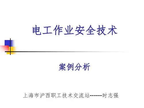 用电安全中触电事故的案例分析课件PPT