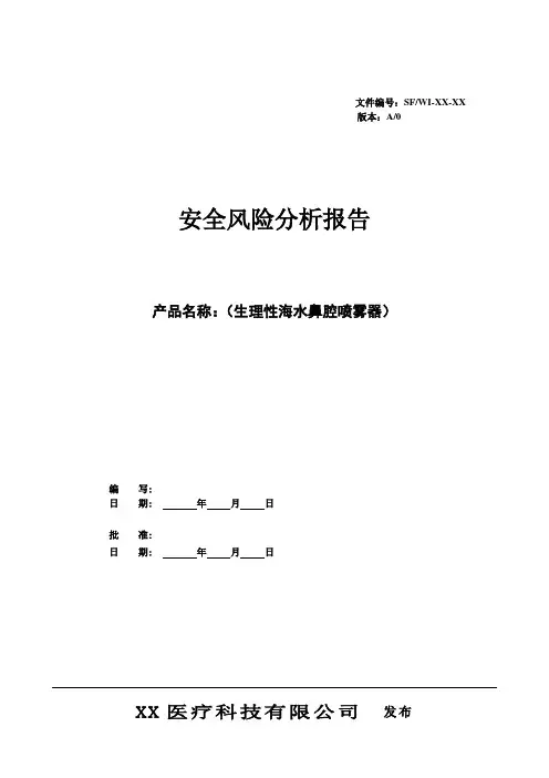 安全风险分析报告