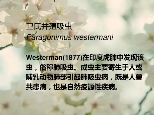 肺吸虫