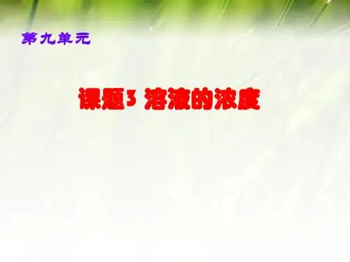 溶液的浓度PPT课件21 人教版