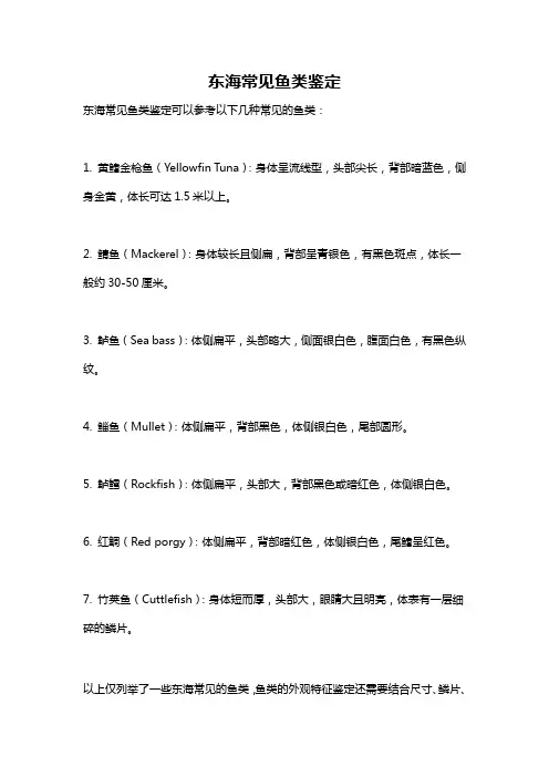 东海常见鱼类鉴定