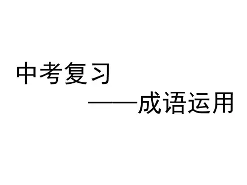 成语运用+++课件(共31张ppt)++2023年中考语文二轮专题