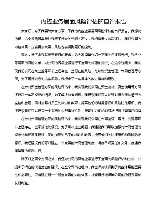 内控业务层面风险评估的自评报告