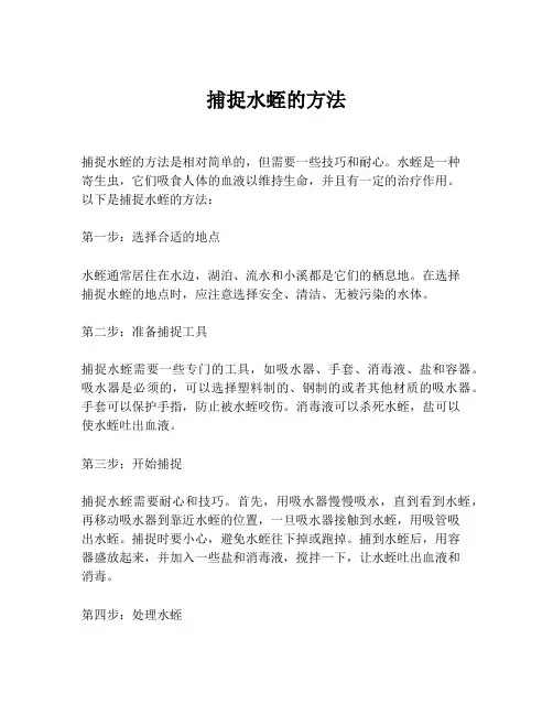 捕捉水蛭的方法