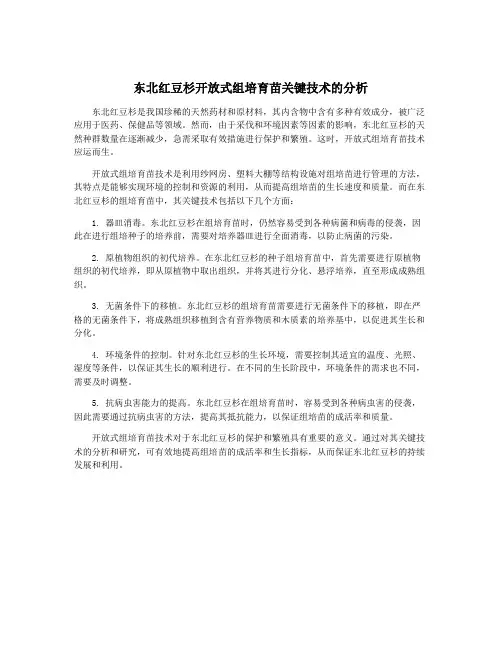 东北红豆杉开放式组培育苗关键技术的分析