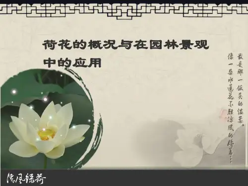 荷花的概况与在园林景观中的应用