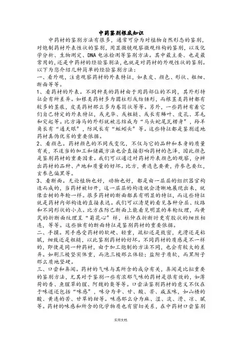 中药鉴别基础知识