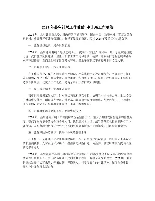 2024年县审计局工作总结_审计局工作总结