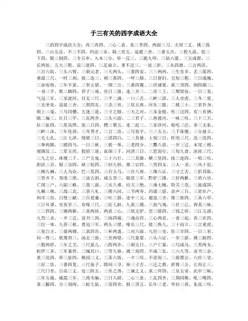 于三有关的四字成语大全