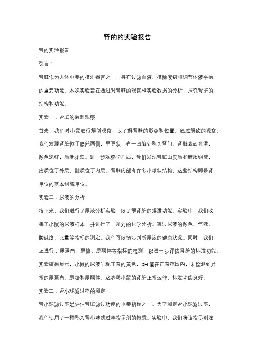 肾的的实验报告