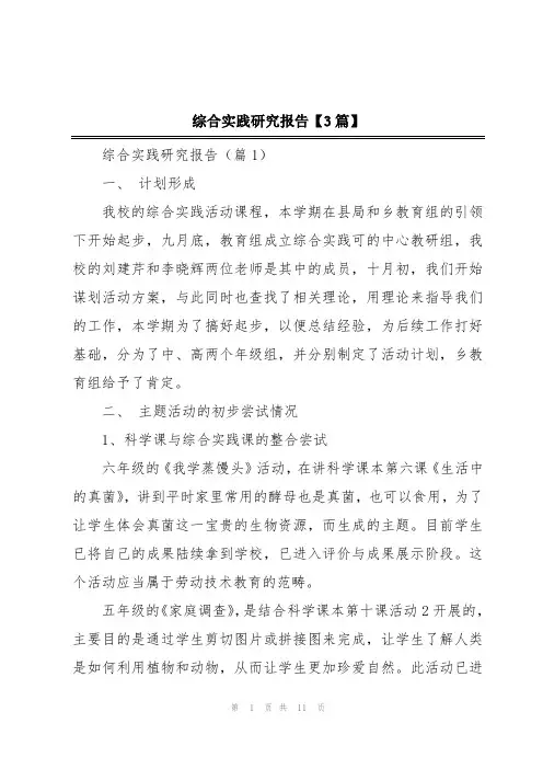 综合实践研究报告【3篇】