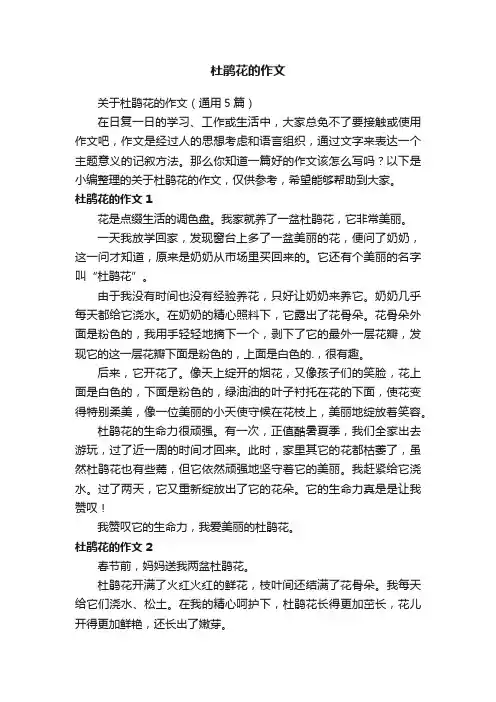 关于杜鹃花的作文（通用5篇）