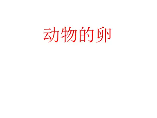 四年级下册科学课件动物的卵∣教科版 (共34张PPT)