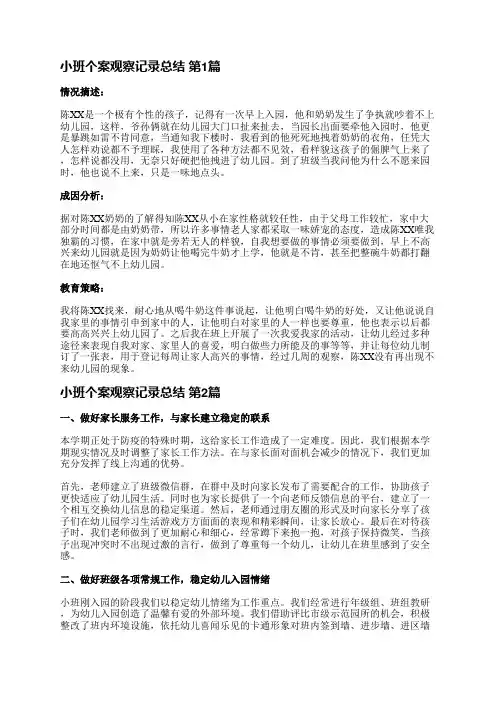 小班个案观察记录总结(共16篇)