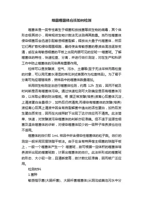 细菌噬菌体应该如何检测