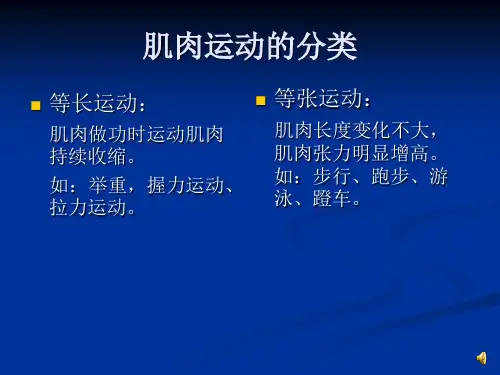 运动试验1