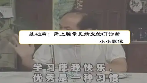 基础篇：肾上腺病变的影像诊断