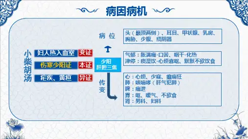 2小柴胡汤方剂学解读