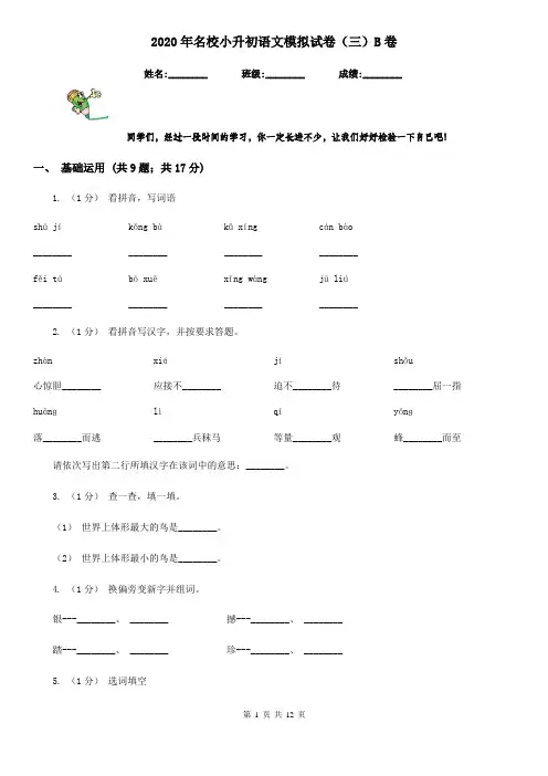 2020年名校小升初语文模拟试卷(三)B卷