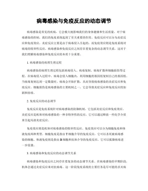 病毒感染与免疫反应的动态调节