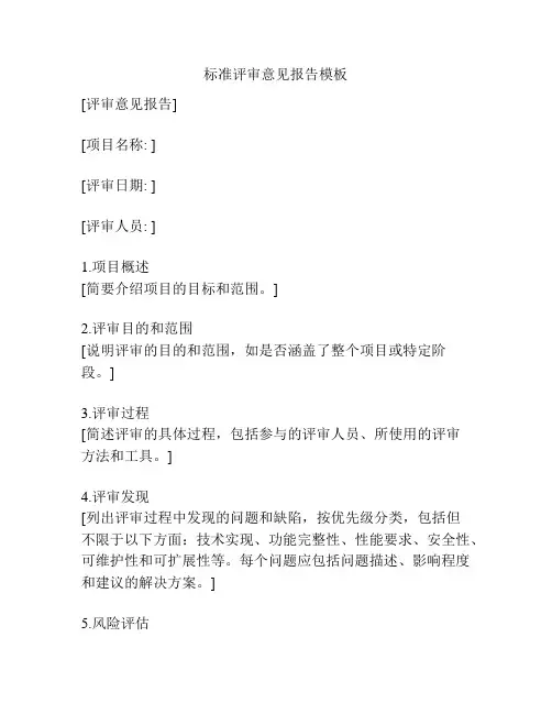 标准评审意见报告模板