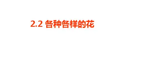 《各种各样的花》PPT优质课件教科版小学1
