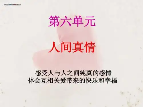 语文四年级上册第六单元复习(精品)ppt
