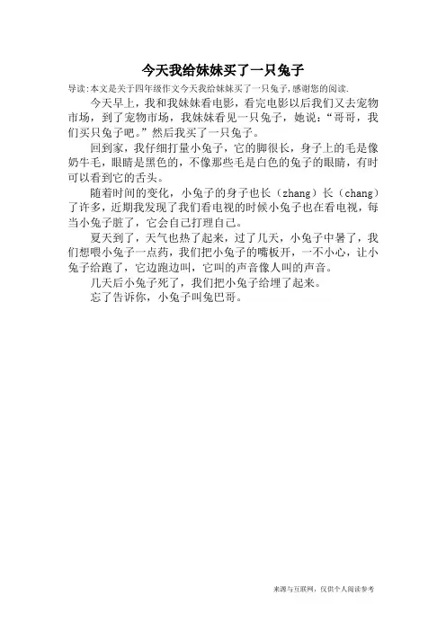 今天我给妹妹买了一只兔子_四年级作文