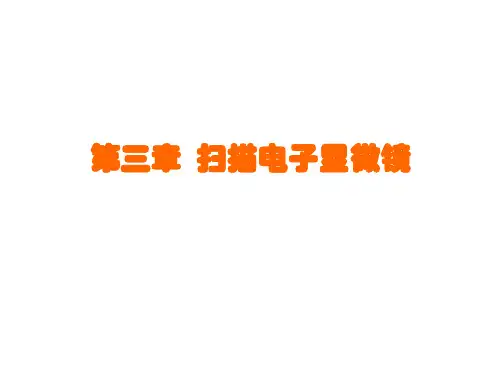 扫描电子显微镜SEM