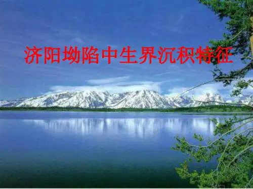 油区岩相古地理课件  9 第九讲 济阳中生界沉积特征