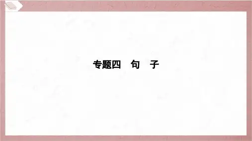 2024年小升初语文总复习专题四句子(一)句子的类型
