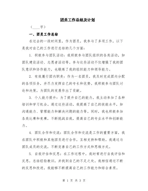 团员工作总结及计划