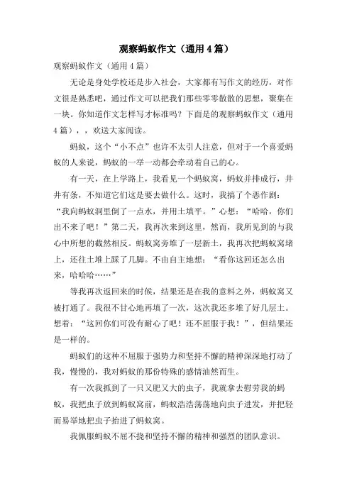 观察蚂蚁作文(通用4篇)
