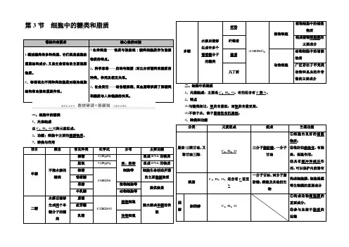 2020-2021学年生物新教材人教必修1学案：第2章 第3节 细胞中的糖类和脂质 Word版含解析