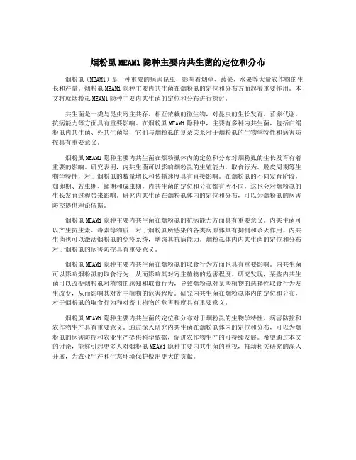 烟粉虱MEAM1隐种主要内共生菌的定位和分布