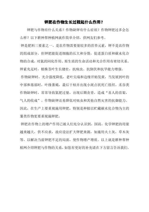 钾肥在作物生长过程起什么作用？