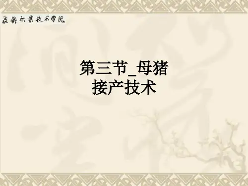 第三节母猪接产技术ppt课件