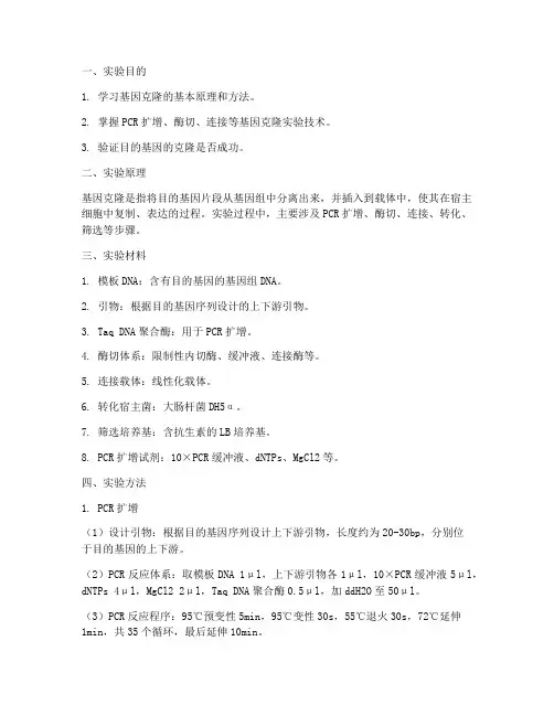 基因克隆具体实验报告
