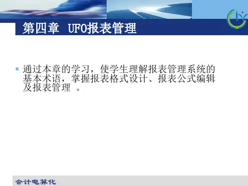 UFO报表管理(精)