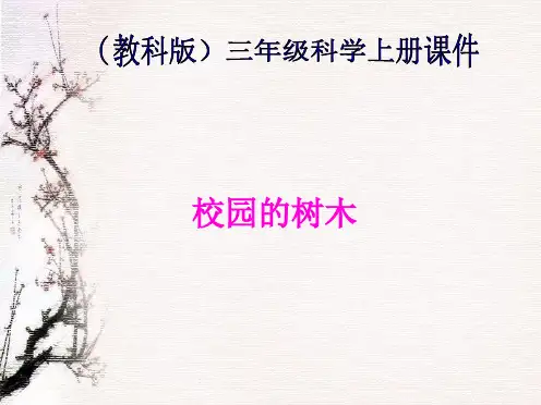 教科小学科学三上《1.2、校园的树木》PPT课件(7)[精选](共8张PPT)