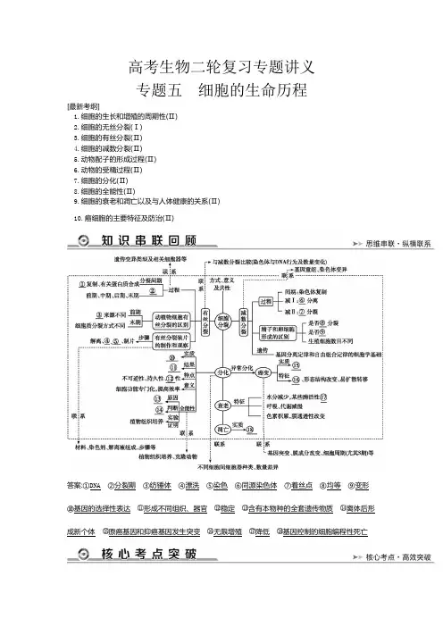 高考生物二轮复习专题讲义：专题五 细胞的生命历程
