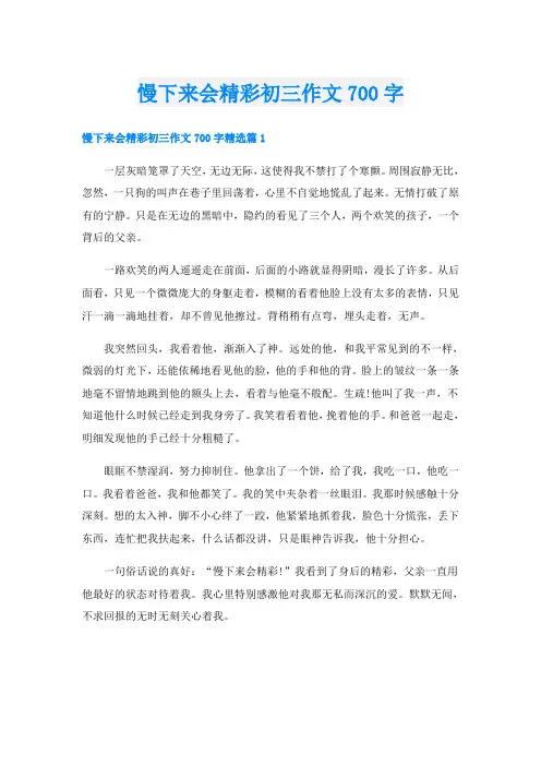 慢下来会精彩初三作文700字