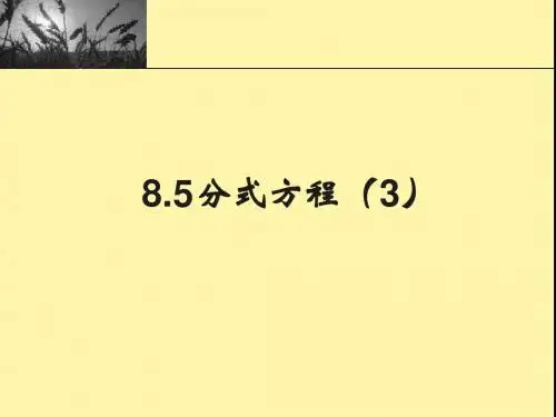 8.5分式方程(3)